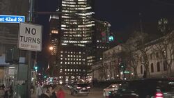 New York, Public Library Stock Footage