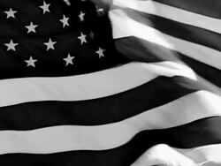 B/W PAL: Looping BandW Film. HD Progressive Frames Stock Footage