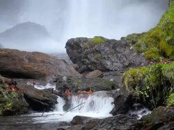 HD stream by waterfall Stock Footage