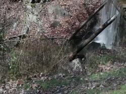 Water reservoir in the Blue Ridge Mountains, Virginia, USA Stock Footage