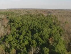   WS AERIAL View of Bull Neck Swamp Research Forest / North Carolina, United States Stock Footage