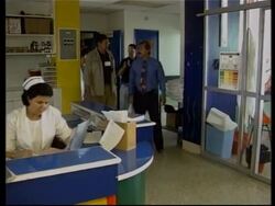 Cuban - American doctors to combat dengue epidemic News Clip