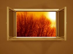 Rising sun and sinking moon Stock Footage