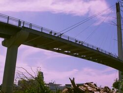Bob Kerry Pedestrian Bridge in Omaha Nebraska Stock Footage