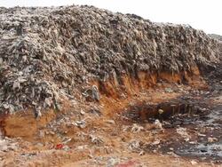 Garbage dump site Stock Footage