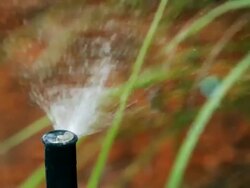 Sprinkler Stock Footage
