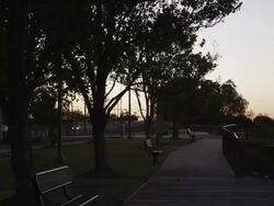 MS Shot of empty benches on boardwalk at sunset / Montgomery, Alabama, United States Stock Footage