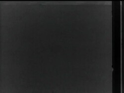 THE DAMS - News Clip