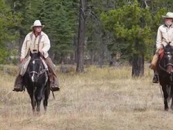 Cowboy and  Cowgirl riding on horseback Stock Footage