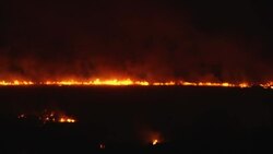 Crews battle huge flames as fire burns in an ecological reserve south of Buenos Aires News Clip