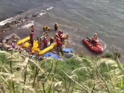 16 Whales Die After Mass Stranding News Clip