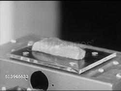 1950s: RUTGERS UNIVERSITY:  VS Female scientist in laboratory examining beef color on meter scale, turning knobs, (POV) examining color through magnifying glass on scale. Agriculture, Food Technology Building, beef quality, steak, NJ, New Jersey Instructional Video