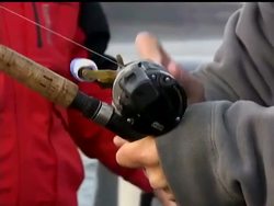 Populations of salmon and other fish in a California river delta are plummeting, symptoms scientists say of a crashing ecosystem in the West Coast''s largest estuary. Culprits may include pumping and agricultural chemicals. News Clip