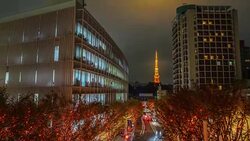 4K Timelapse: Tokyo Tower and Christmas illuminations in Roppongi Tokyo , Japan Stock Footage