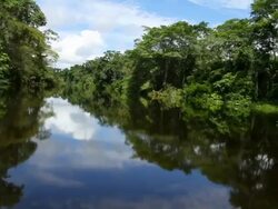 Boat riding in the Peruvian rainforest Stock Footage