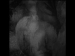 SYND 7 9 75 EARTHQUAKE DEVASTATION RESCUE ATTEMPTS News Clip