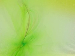 Lime background PAL Stock Footage