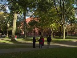 WS Greenery around on harvard campus pathways / Cambridge, Massachusetts, United States Stock Footage