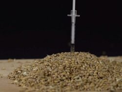 HD SUPER SLOW-MO: Syringe Pricking Into Wheat Stock Footage