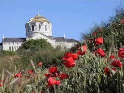 RED POPPIES AND SAINT VLADIMIR CATHEDRAL Stock Footage