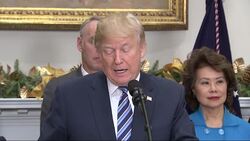 Trump Praises Regulation Cuts, Touts Tax Plan News Clip