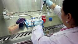 VOICED: Colombia contra la malaria News Clip