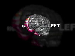 Left and right brain hemispheres Stock Footage