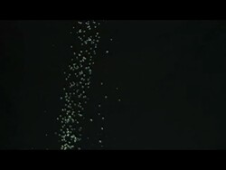 Water drops falling against black Stock Footage