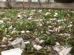 garbage Stock Footage