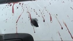 CLEAN : Famed Somali singer and lawmaker assassinated News Clip