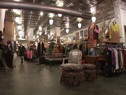 Antiques and curios for sale in thrift shop News Clip