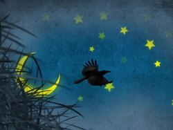 Mysterious Night and Bird Stock Footage