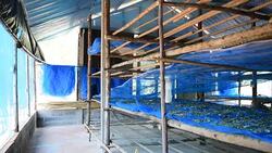 Workhouses Silk Stock Footage