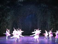 English National Ballet Dress Rehearsal of The Nutcracker Stock Footage