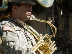 Veterans Day Parade Winds Through Miami Beach Stock Footage