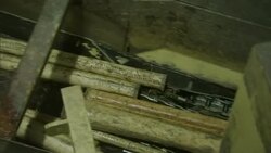 Logs roll onto conveyors in a paper mill. Stock Footage
