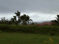 MS Shot of village / Rapa Nui National Park, Easter Island, Chile  Stock Footage