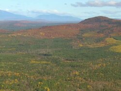WS AERIAL View of wooded area with autumn color at Howland / Maine, United States Stock Footage