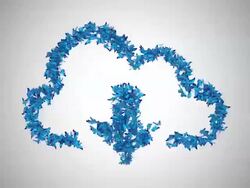 Cloud Computing Symbol made by Blue Butterflies - Alpha Stock Footage