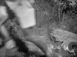 WWII in New Guinea Stock Footage