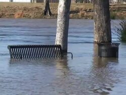 Park Floods Stock Footage