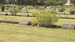 HD Dolly:Cemeteries of Christianity Stock Footage