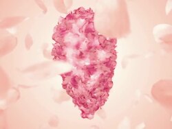 Valentines Heart  (Loopable) Stock Footage