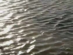 waves of hot spring Stock Footage