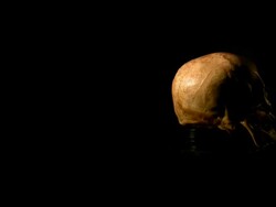 Human skull, HD1080, NTSC, PAL Stock Footage
