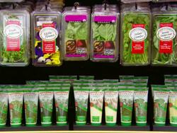 CU Shot of packaged herbs on supermarket shelves / Mall of America Minneapolis, Minnesota, United States Stock Footage