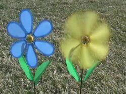 pinwheel flower blowing in the wind Stock Footage