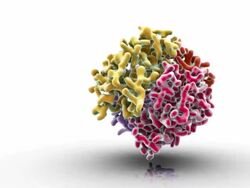 CU View of hemoglobin protein molecular structure / Oxford, Oxon, United Kingdom Stock Footage