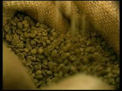Costa Rican farmers make the perfect cup of coffee News Clip