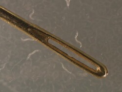 Caenorhabditis elegans (C.elegans) with needle. 1 frame per second T/L 55mm micro nikkor lens Stock Footage